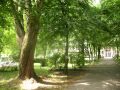 sanatorium chemik - ogr�d