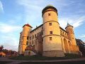 zamek w Nowym Winiczu