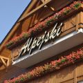 Hotel *** Alpejski