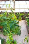Oran�eria