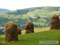 OKOLICA WIDOK
